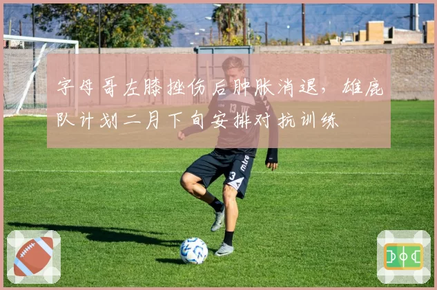 字母哥左膝挫伤后肿胀消退，雄鹿队计划二月下旬安排对抗训练