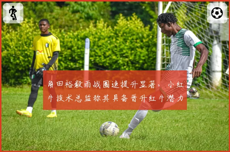 角田裕毅雨战圈速提升显著,小红牛技术总监称其具备晋升红牛潜力