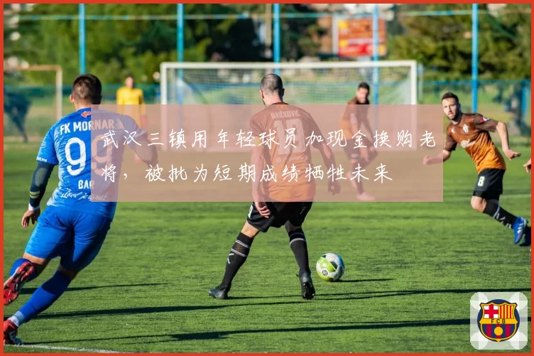 武汉三镇用年轻球员加现金换购老将,被批为短期成绩牺牲未来