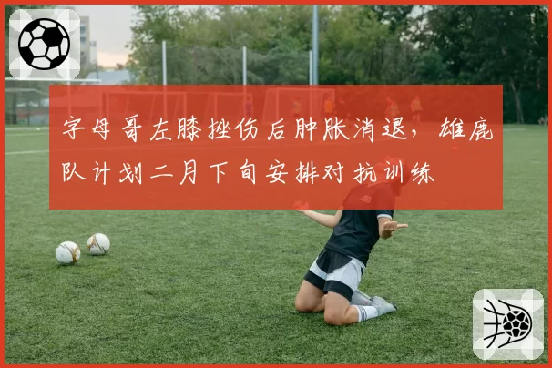 字母哥左膝挫伤后肿胀消退,雄鹿队计划二月下旬安排对抗训练