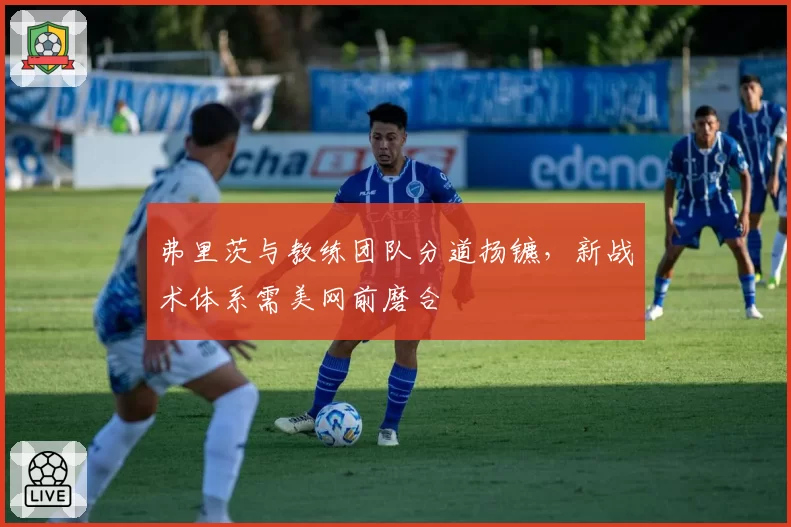弗里茨与教练团队分道扬镳，新战术体系需美网前磨合