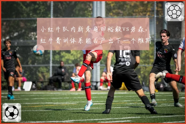 小红牛队内新秀角田裕毅vs劳森，红牛青训体系能否产出下一个维斯塔潘？