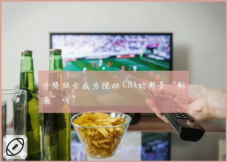 升降级会成为搅动 CBA的那条“鲇鱼”吗？