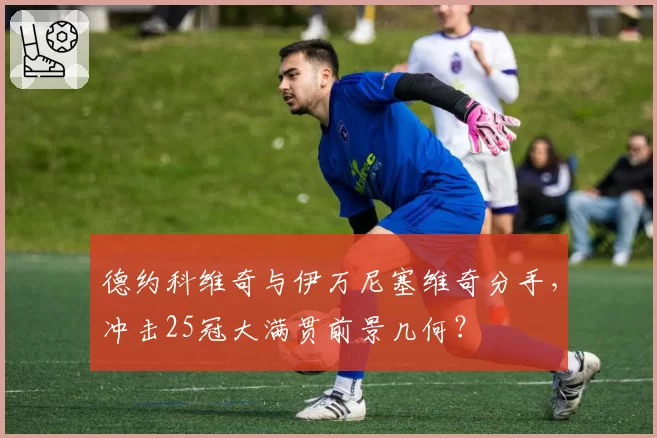 德约科维奇与伊万尼塞维奇分手，冲击25冠大满贯前景几何？