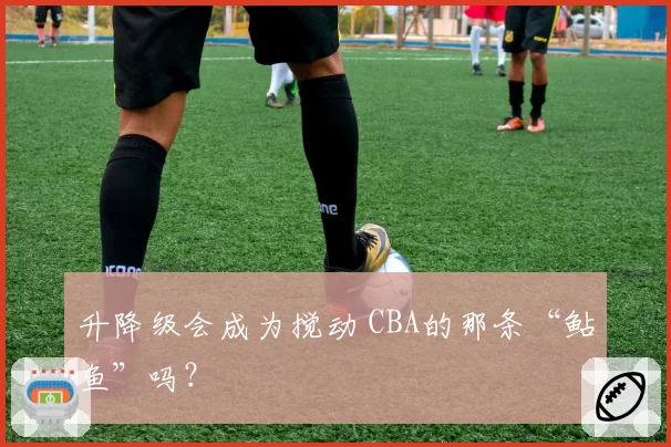 升降级会成为搅动 CBA的那条“鲇鱼”吗？